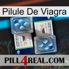 Viagra Pill viagra5